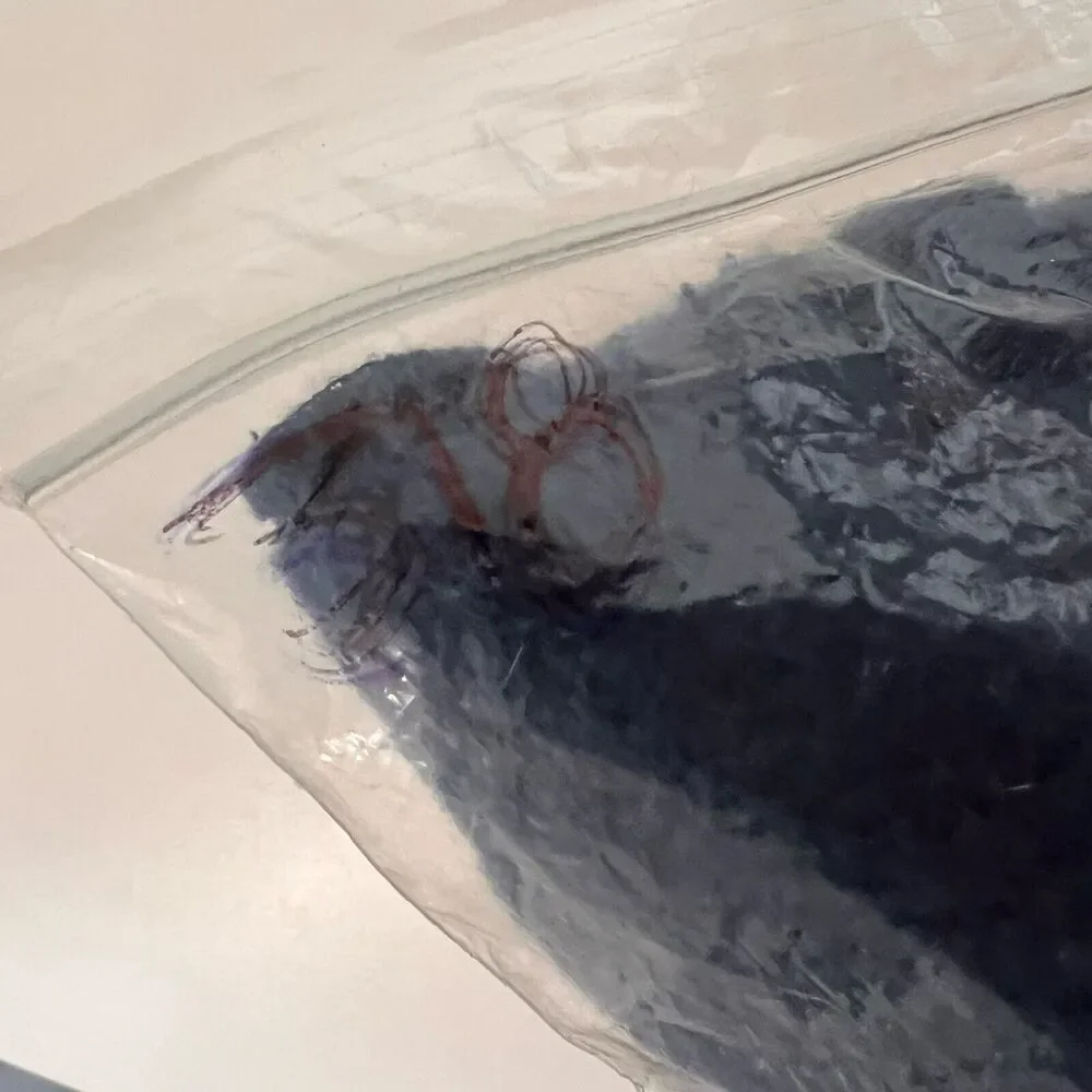 Yellow Label Co Sweatshirt Women’s‎ XS Blue Cropped Inside Out Pullover - Picture 7 of 7